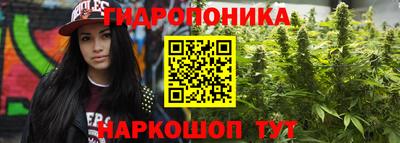 каннабис Волжский