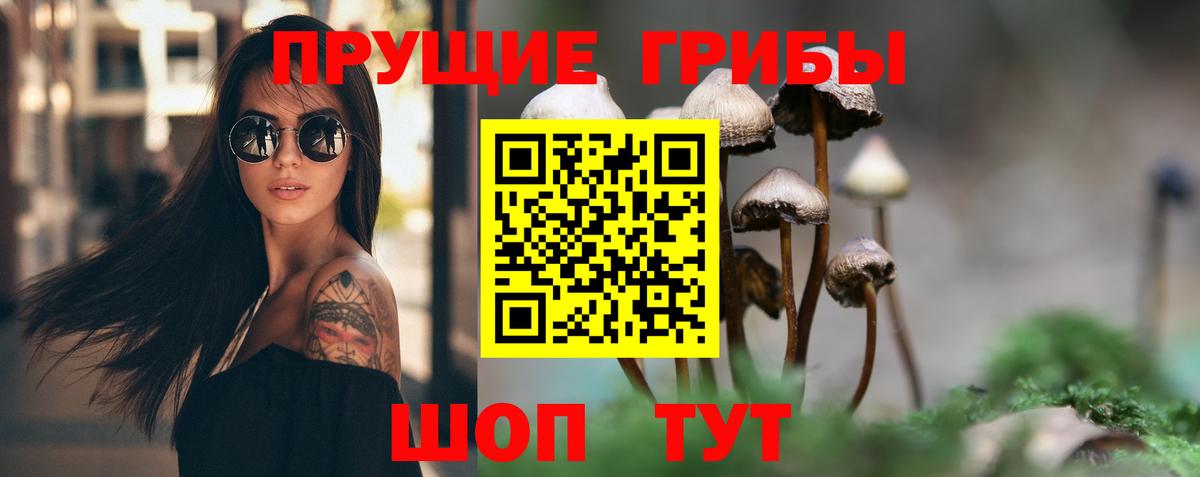 Галлюциногенные грибы MAGIC MUSHROOMS  Псилоцибиновые грибы GOLDEN TEACHER  Вход с VPN  Лениногорск 